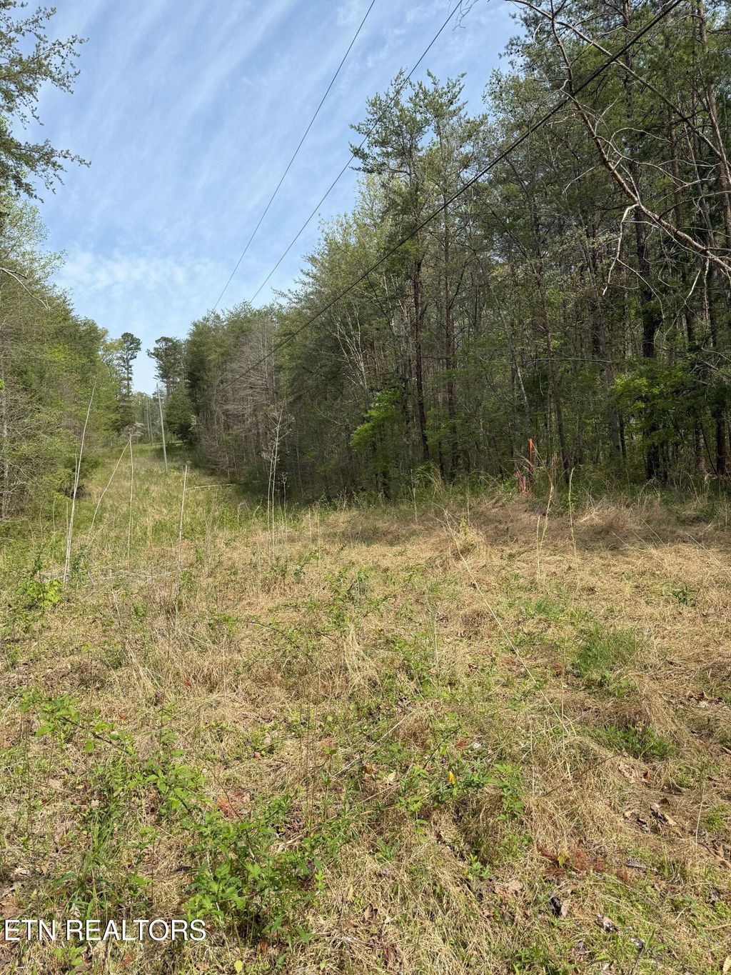 Photo of Citico Rd, Vonore, TN 37885 (MLS # 1298029)