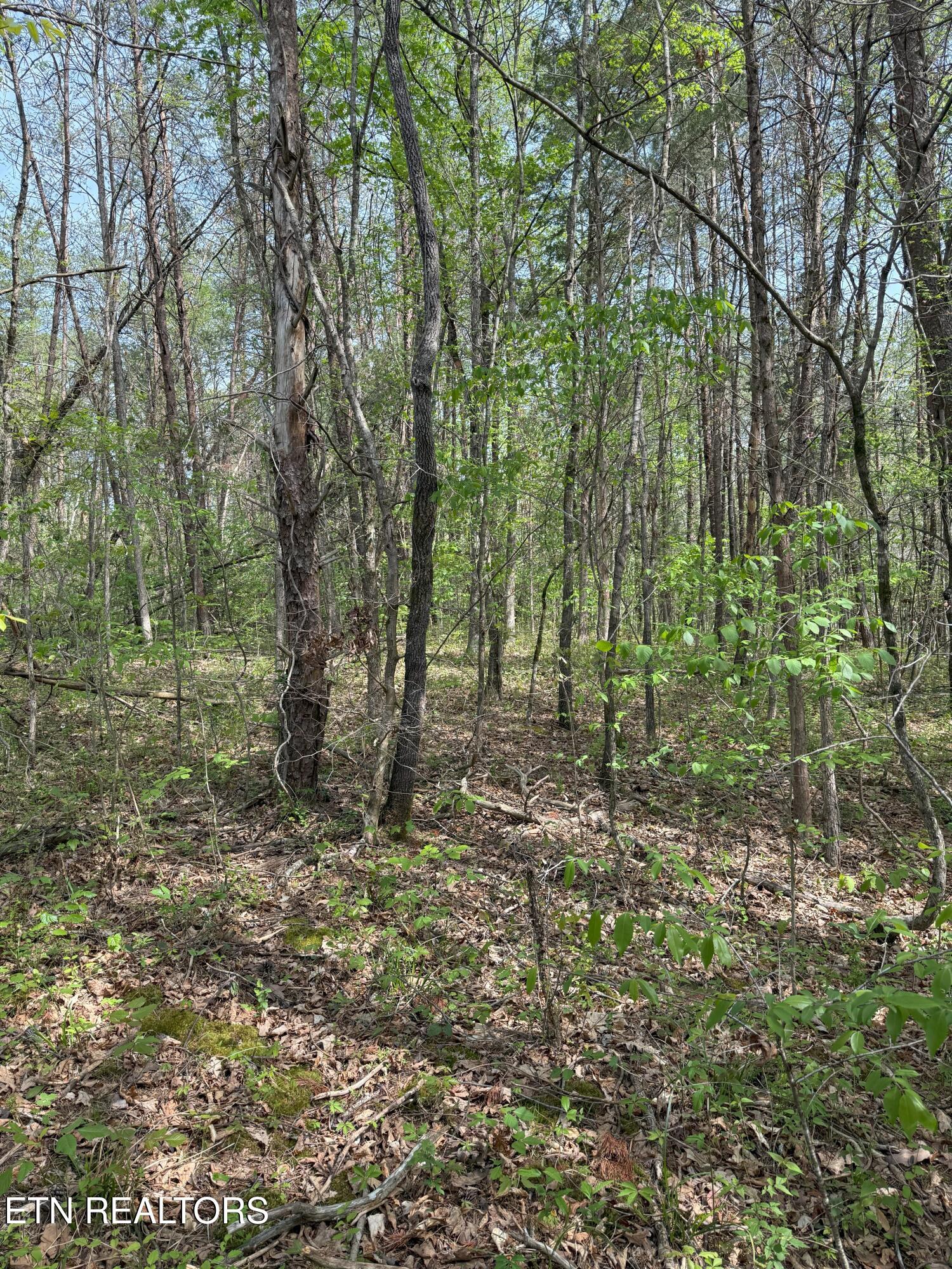 Citico Rd