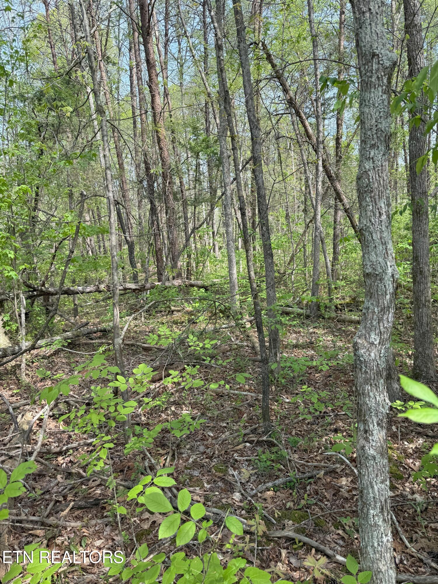 Citico Rd