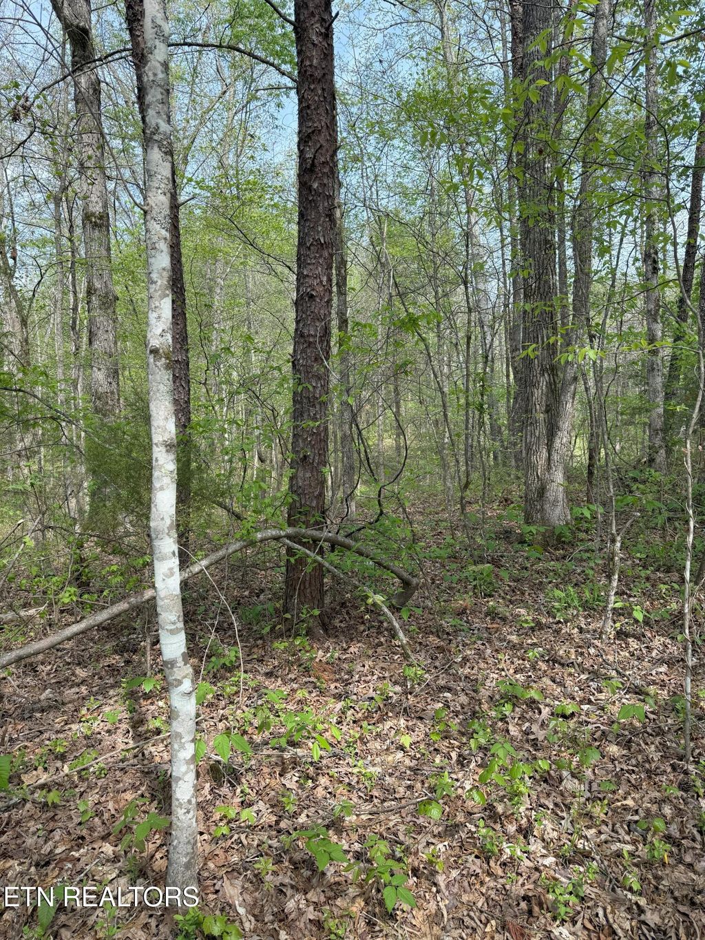 Photo of Citico Rd, Vonore, TN 37885 (MLS # 1298029)