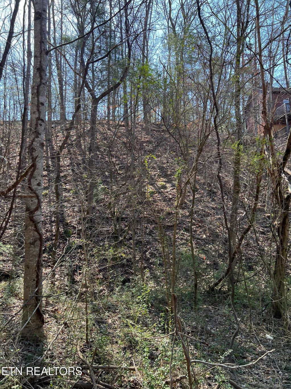 Photo of 3210 Pine Way, Pigeon Forge, TN 37863 (MLS # 1300962)