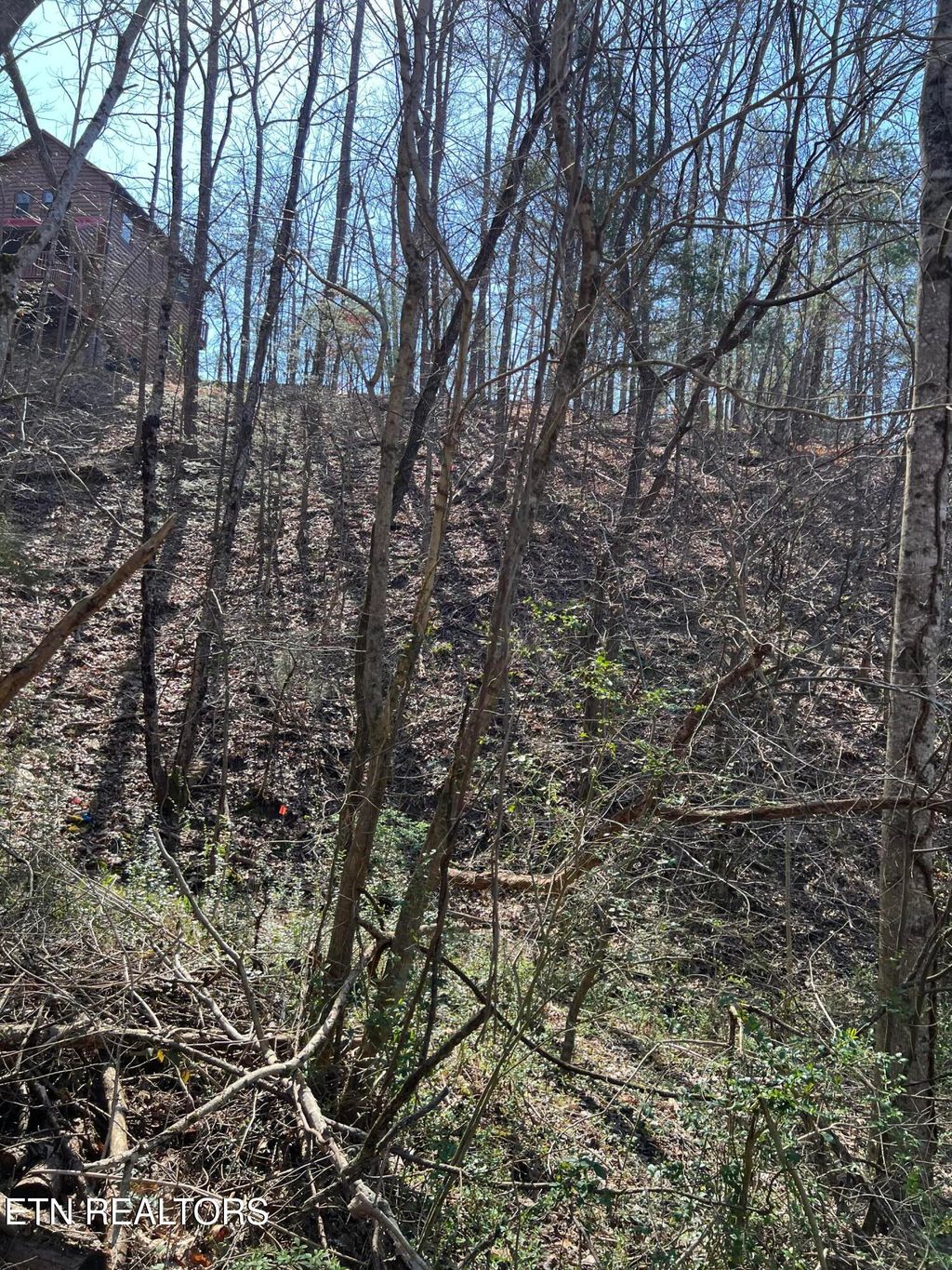 Photo of 3210 Pine Way, Pigeon Forge, TN 37863 (MLS # 1300962)