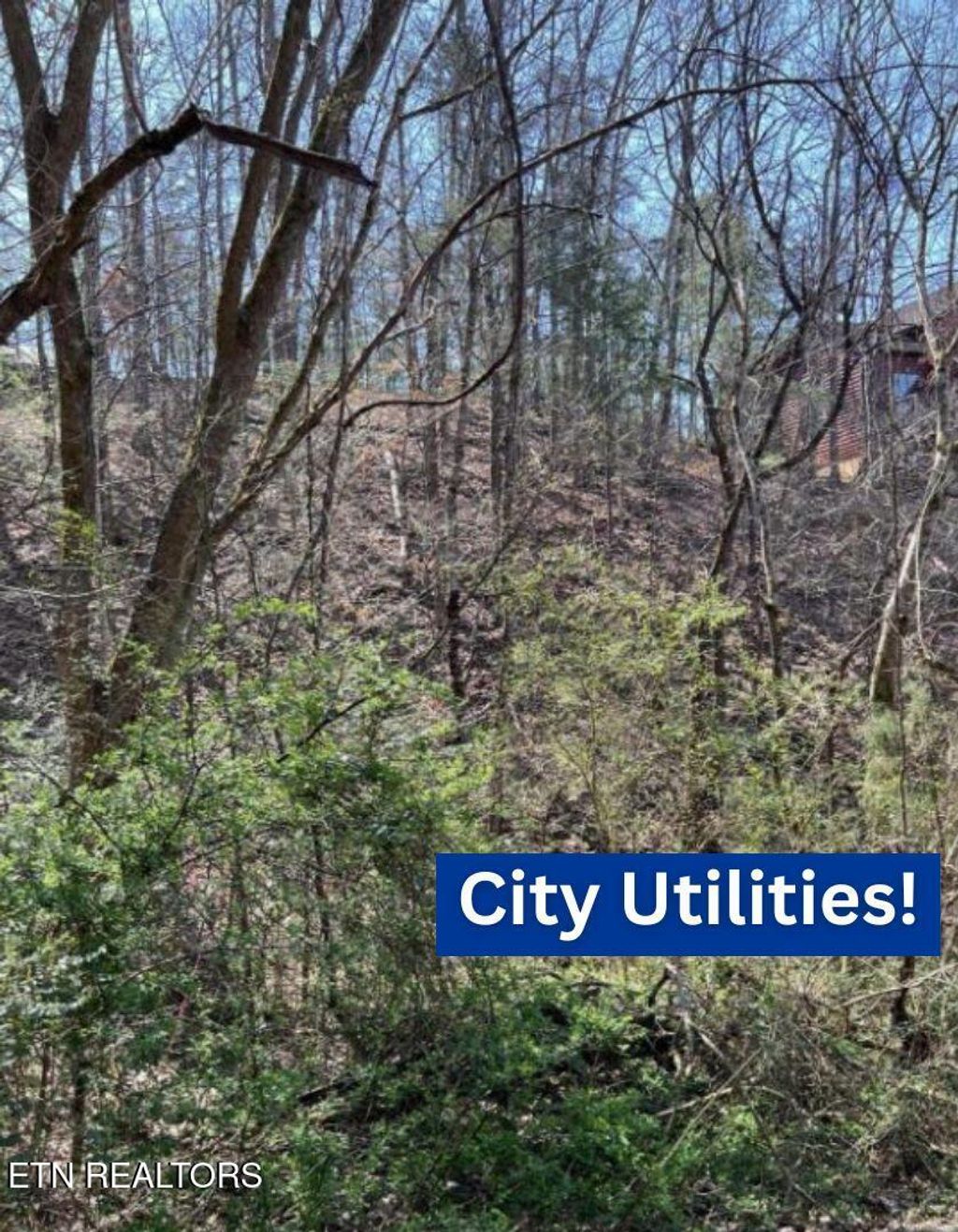 Photo of 3210 Pine Way, Pigeon Forge, TN 37863 (MLS # 1300962)