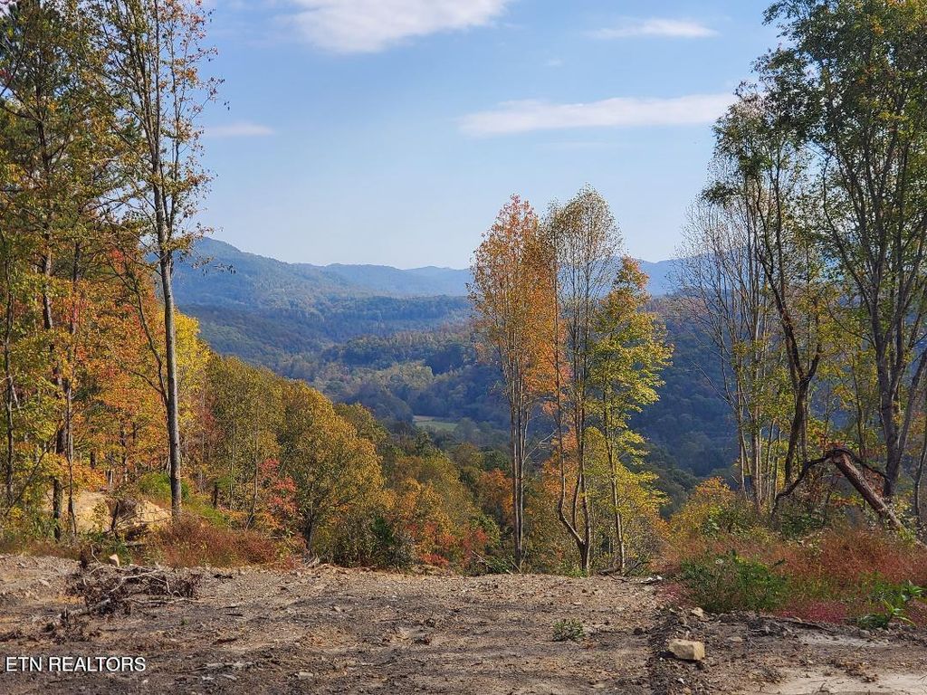 Photo of Bull Creek Rd S/0, Huntsville, TN 37756 (MLS # 1340130)