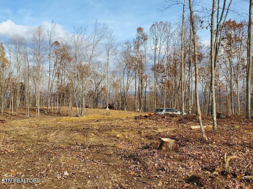 Photo of Bull Creek Rd S/0, Huntsville, TN 37756 (MLS # 1340130)