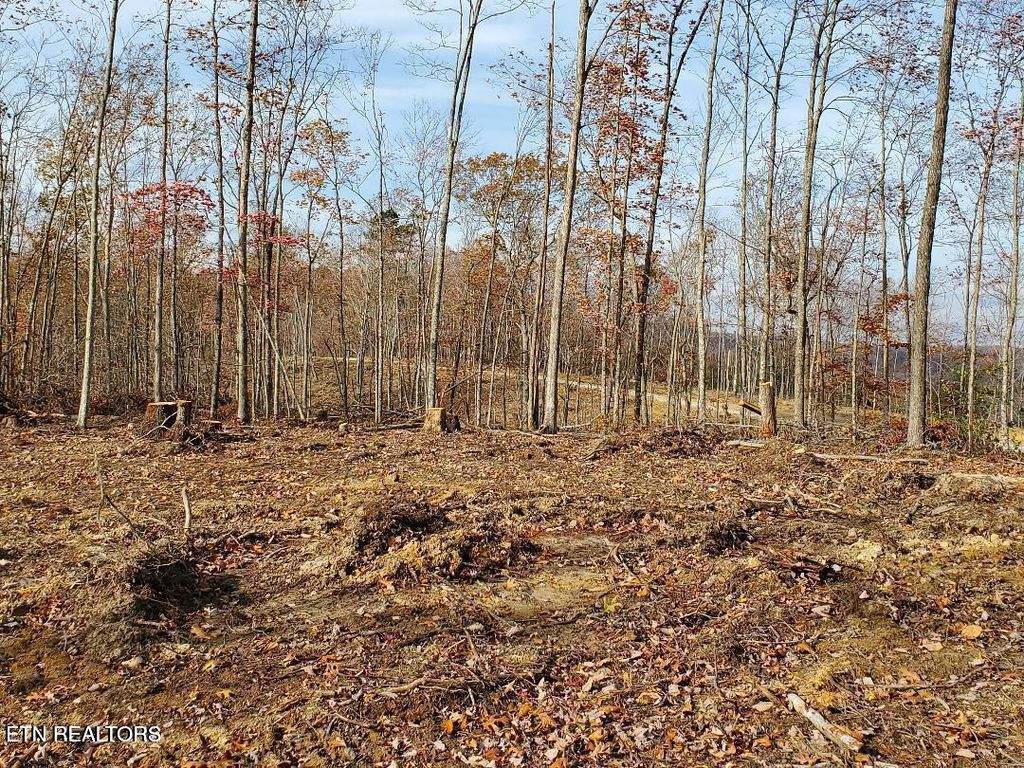 Photo of Bull Creek Rd S/0, Huntsville, TN 37756 (MLS # 1340130)