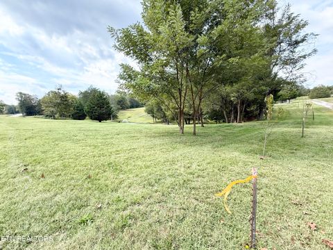 Tiny photo for 166 Beard Valley Rd, Maynardville, TN 37807 (MLS # 1315944)