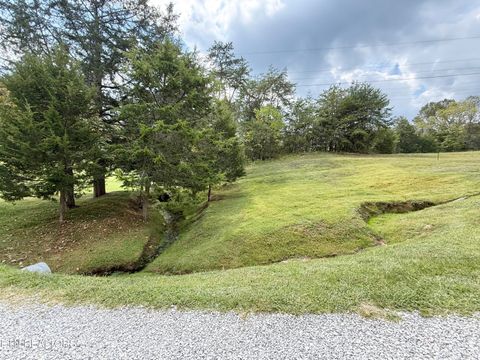 Tiny photo for 166 Beard Valley Rd, Maynardville, TN 37807 (MLS # 1315944)