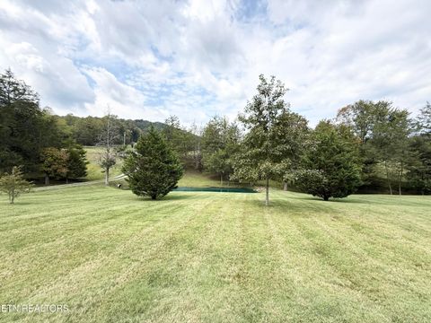 Tiny photo for 166 Beard Valley Rd, Maynardville, TN 37807 (MLS # 1315944)