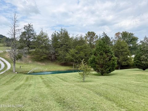 Tiny photo for 166 Beard Valley Rd, Maynardville, TN 37807 (MLS # 1315944)