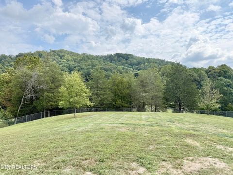 Tiny photo for 166 Beard Valley Rd, Maynardville, TN 37807 (MLS # 1315944)