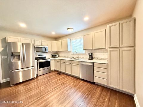 Tiny photo for 166 Beard Valley Rd, Maynardville, TN 37807 (MLS # 1315944)