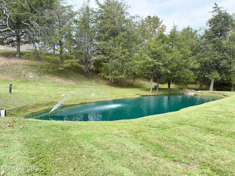 Tiny photo for 166 Beard Valley Rd, Maynardville, TN 37807 (MLS # 1315944)