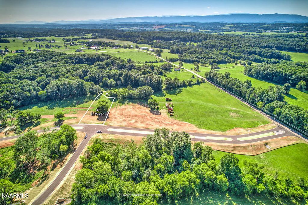 Photo of 5826 Sophie Drive, Greenback, TN 37742 (MLS # 1233474)