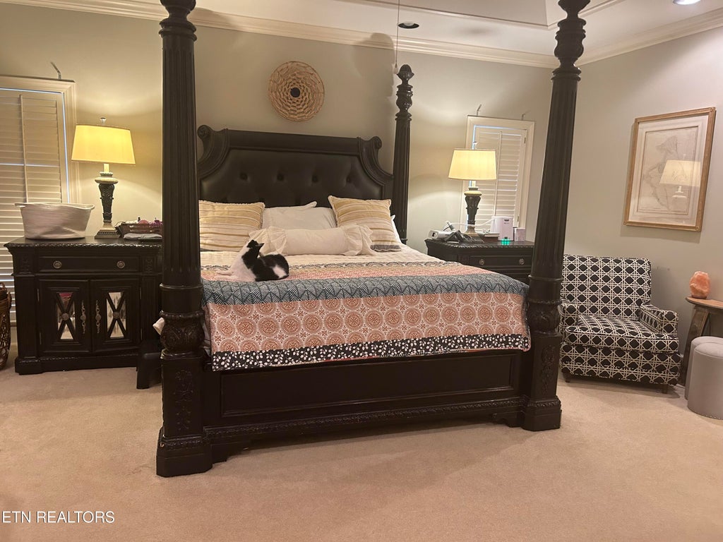 Photo of 554 Halstead Drive Drive, Crossville, TN 38555 (MLS # 1352723)