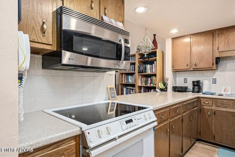 Tiny photo for 354 Lake Catherine Lane, Fairfield Glade, TN 38558 (MLS # 1322890)