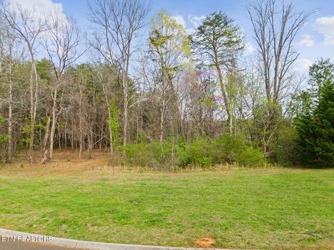Tiny photo for 103 Falcon Tr, Vonore, TN 37885 (MLS # 1332729)
