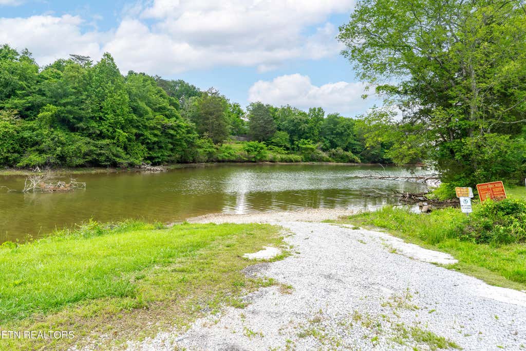 Photo of 208 Morning Cove Rd, Kingston, TN 37763 (MLS # 1340584)