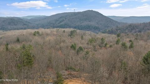 Tiny photo for 222 Heritage Hills Rd, Harriman, TN 37748 (MLS # 1331817)