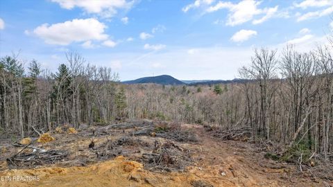 Tiny photo for 222 Heritage Hills Rd, Harriman, TN 37748 (MLS # 1331817)