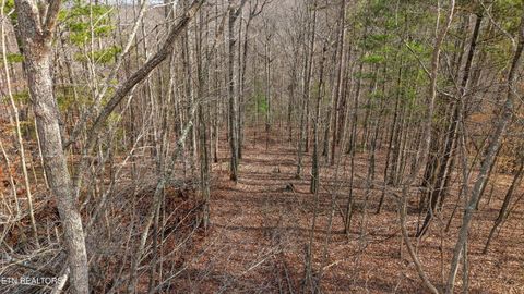 Tiny photo for 222 Heritage Hills Rd, Harriman, TN 37748 (MLS # 1331817)