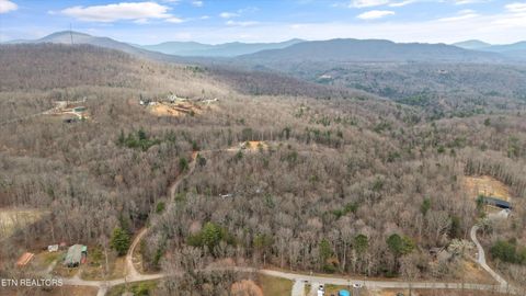 Photo of 222 Heritage Hills Rd, Harriman, TN 37748 (MLS # 1331817)