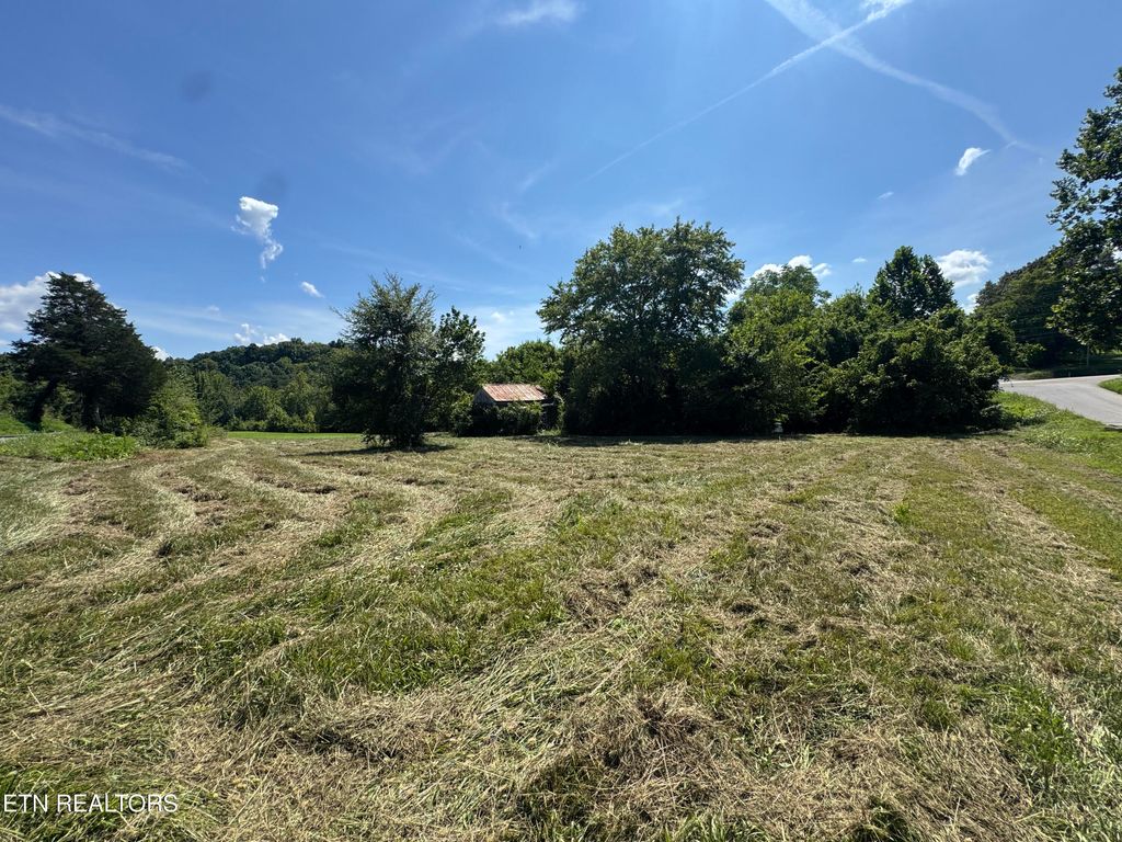 Photo of Leadvale Church Rd, White Pine, TN 37890 (MLS # 1311490)