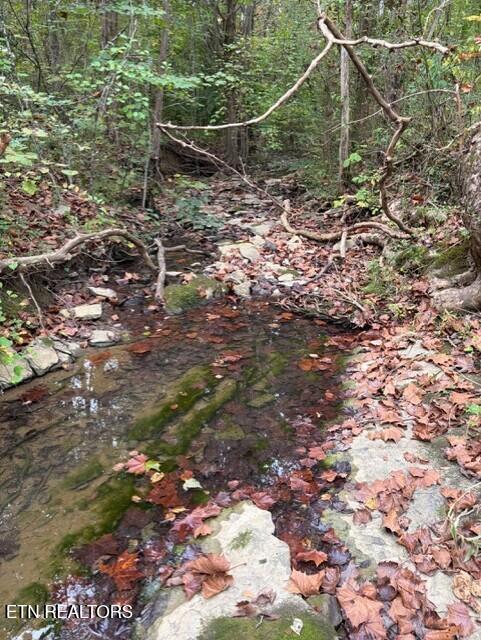 Photo of Gadson Lane, Powell, TN 37849 (MLS # 1358611)
