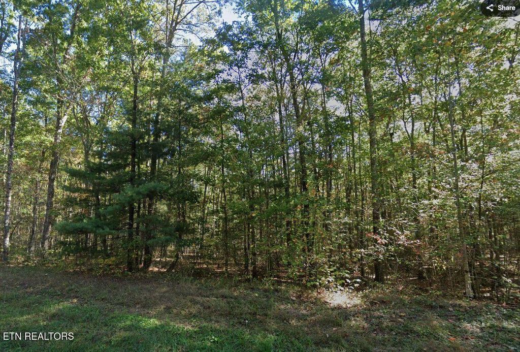 Photo of 0 Jay Loop Rd, Jamestown, TN 38556 (MLS # 1340805)