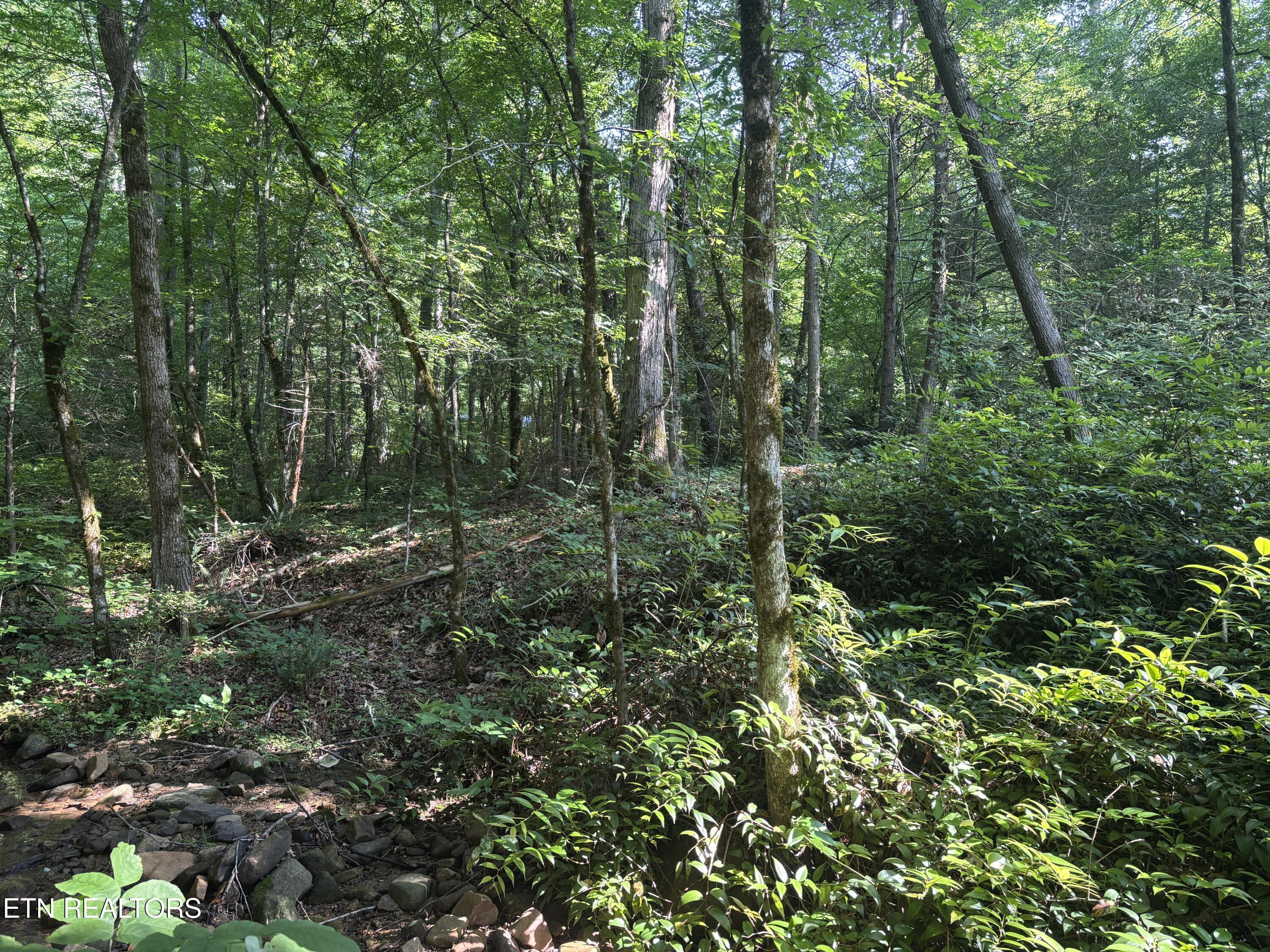 Smoky Cove Rd