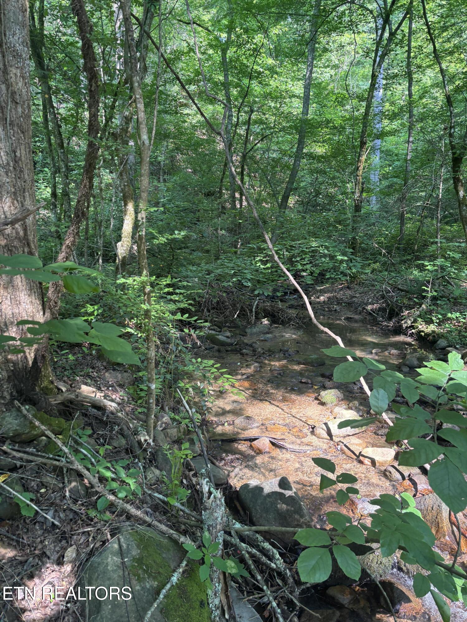 Smoky Cove Rd