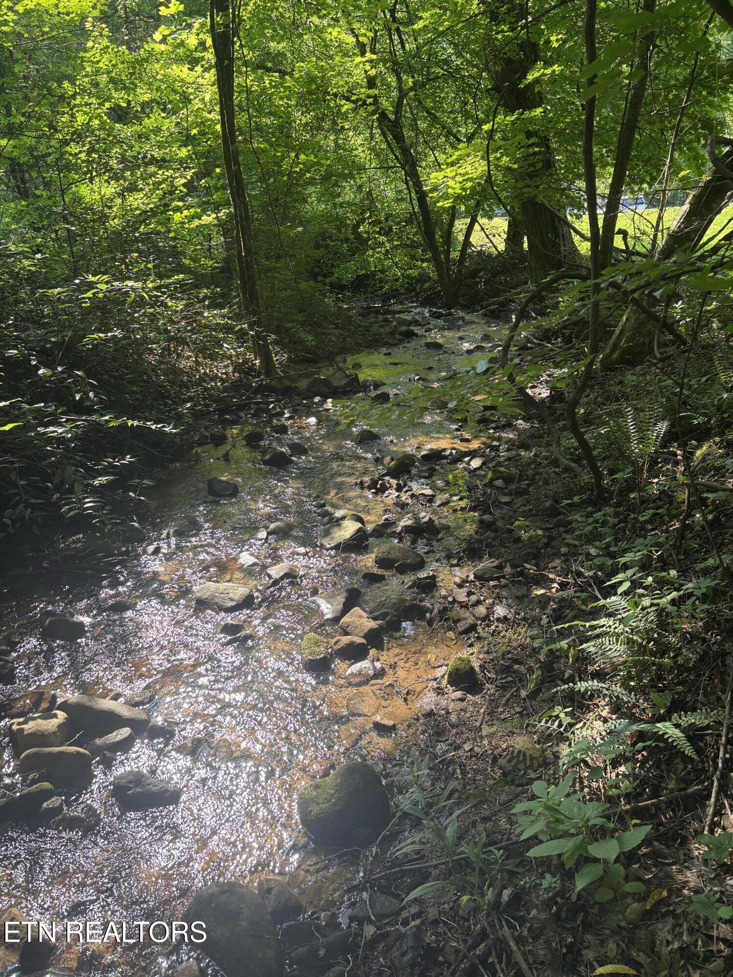 Smoky Cove Rd