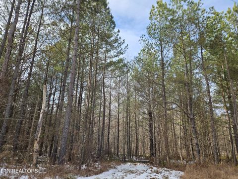 Tiny photo for 0 Cottonwood Tr, Sunbright, TN 37872 (MLS # 1329234)