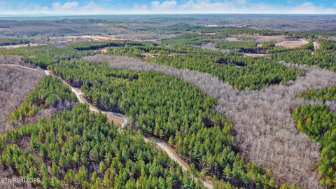 Tiny photo for 0 Cottonwood Tr, Sunbright, TN 37872 (MLS # 1329234)