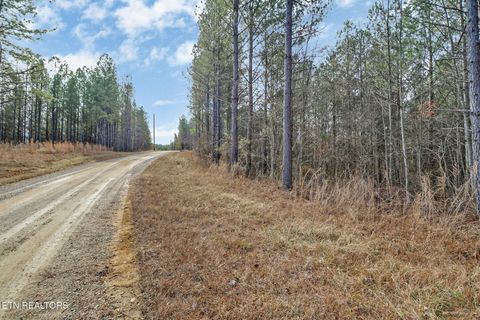 Tiny photo for 0 Cottonwood Tr, Sunbright, TN 37872 (MLS # 1329234)