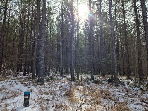 Tiny photo for 0 Cottonwood Tr, Sunbright, TN 37872 (MLS # 1329234)