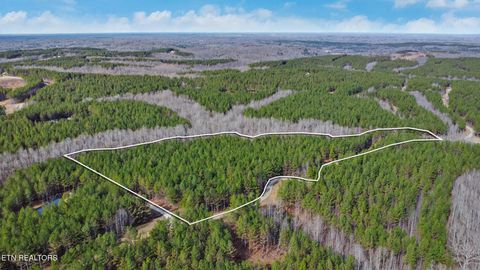 Tiny photo for 0 Cottonwood Tr, Sunbright, TN 37872 (MLS # 1329234)