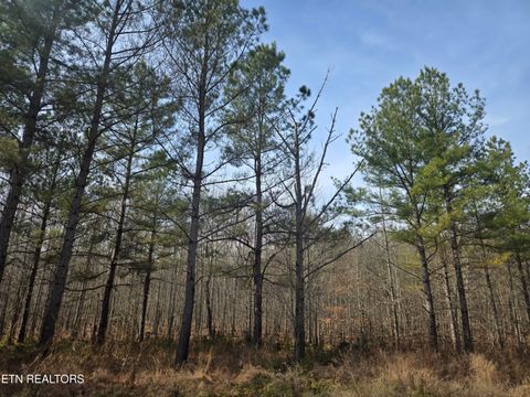 Tiny photo for 0 Cottonwood Tr, Sunbright, TN 37872 (MLS # 1329234)