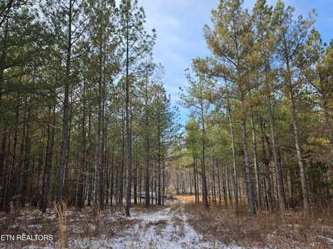Tiny photo for 0 Cottonwood Tr, Sunbright, TN 37872 (MLS # 1329234)
