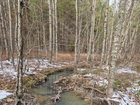 Tiny photo for 0 Cottonwood Tr, Sunbright, TN 37872 (MLS # 1329234)