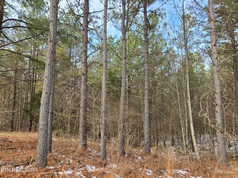 Tiny photo for 0 Cottonwood Tr, Sunbright, TN 37872 (MLS # 1329234)