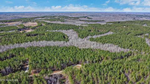 Tiny photo for 0 Cottonwood Tr, Sunbright, TN 37872 (MLS # 1329234)