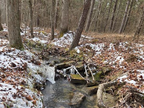 Tiny photo for 0 Cottonwood Tr, Sunbright, TN 37872 (MLS # 1329234)