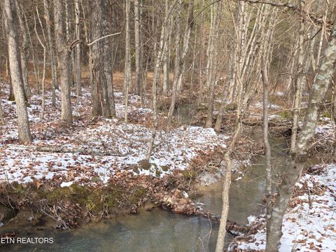 Tiny photo for 0 Cottonwood Tr, Sunbright, TN 37872 (MLS # 1329234)