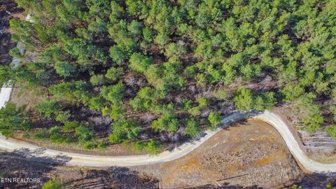Tiny photo for 0 Cottonwood Tr, Sunbright, TN 37872 (MLS # 1329234)