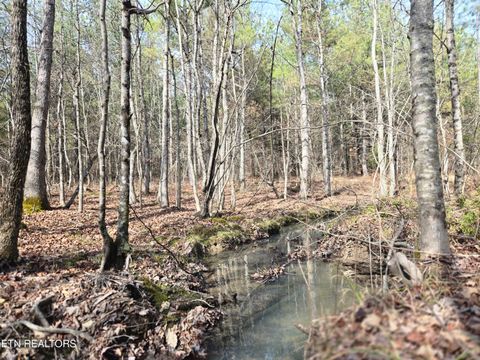 Tiny photo for 0 Cottonwood Tr, Sunbright, TN 37872 (MLS # 1329234)