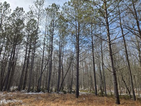 Tiny photo for 0 Cottonwood Tr, Sunbright, TN 37872 (MLS # 1329234)