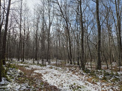 Tiny photo for 0 Cottonwood Tr, Sunbright, TN 37872 (MLS # 1329234)