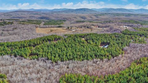 Tiny photo for 0 Cottonwood Tr, Sunbright, TN 37872 (MLS # 1329234)