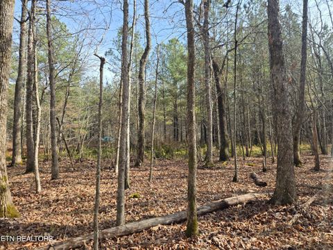 Tiny photo for 0 Cottonwood Tr, Sunbright, TN 37872 (MLS # 1329234)